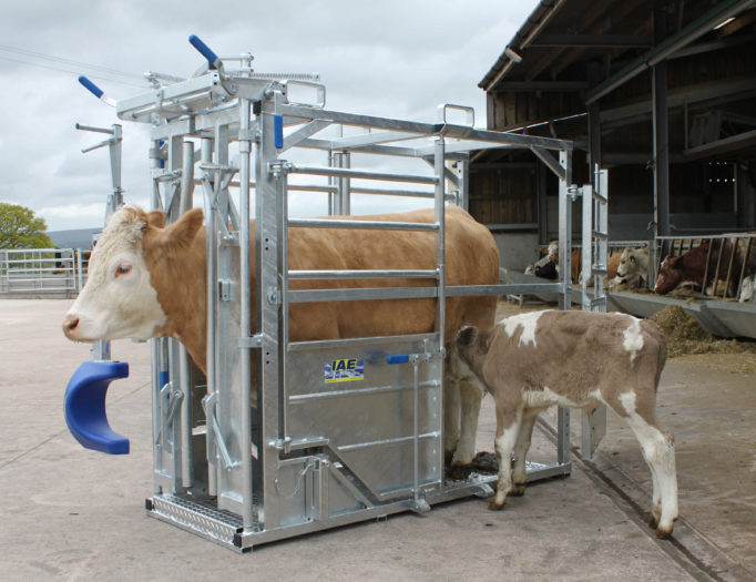 IMG_8289-v1-1-682x525