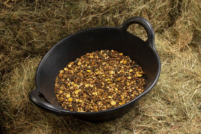 spillers_conditioning_mix_lifestyle