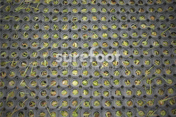 4192-1597 - Ground Ring Mat (Situ)