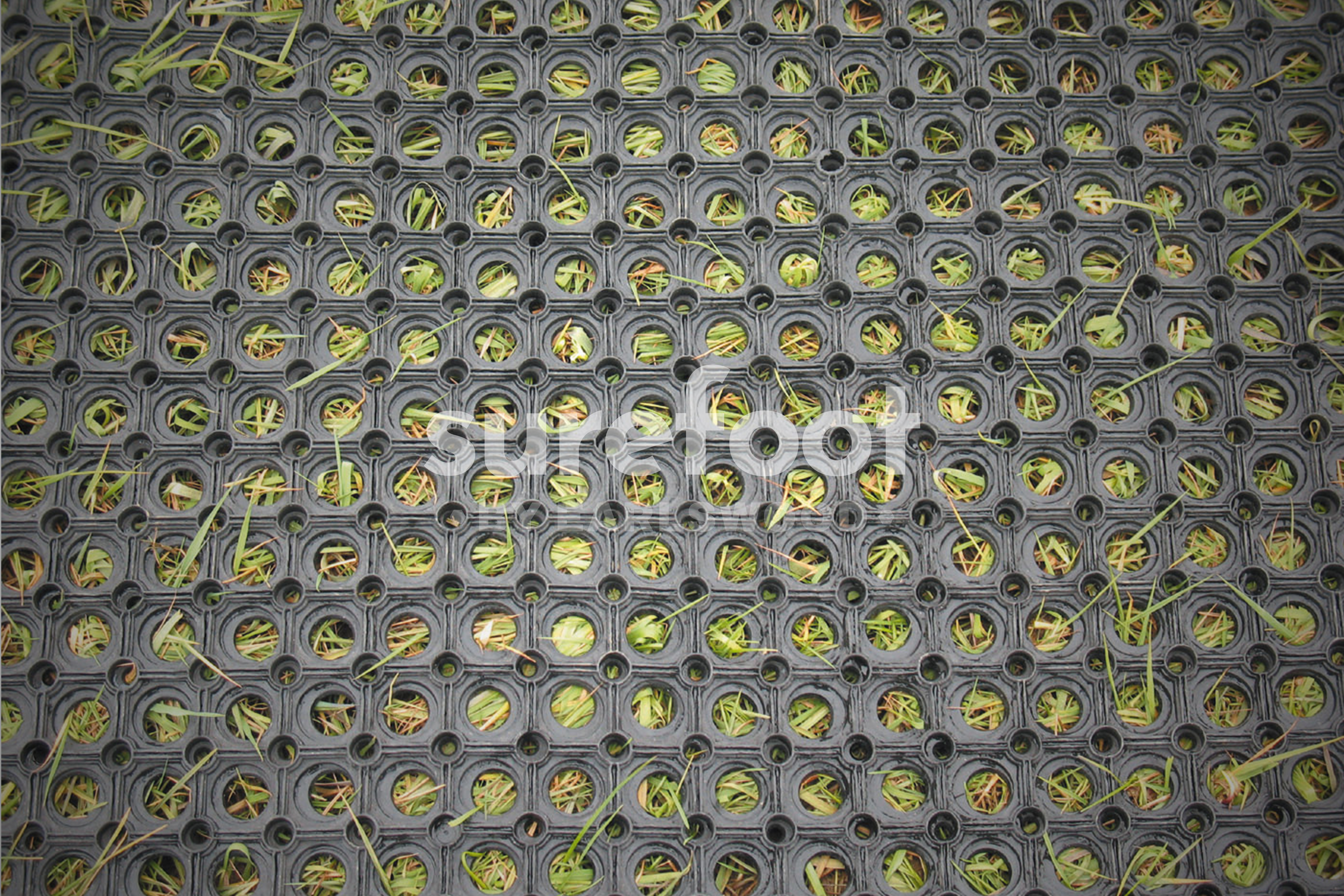 4192-1597 - Ground Ring Mat (Situ)