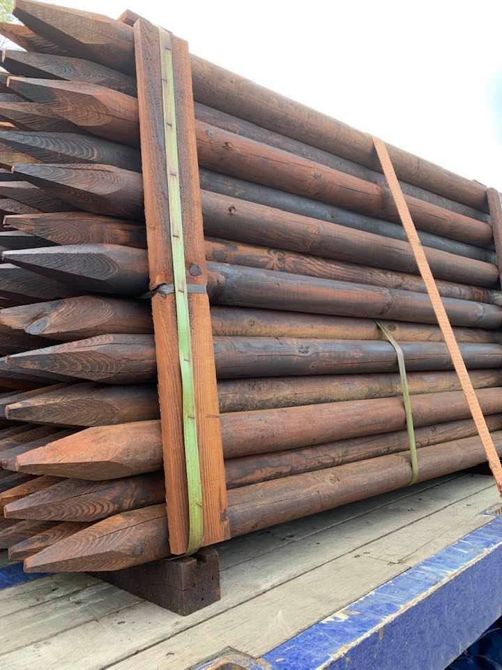 98067435_2381842658780436_3158816139740446720_n