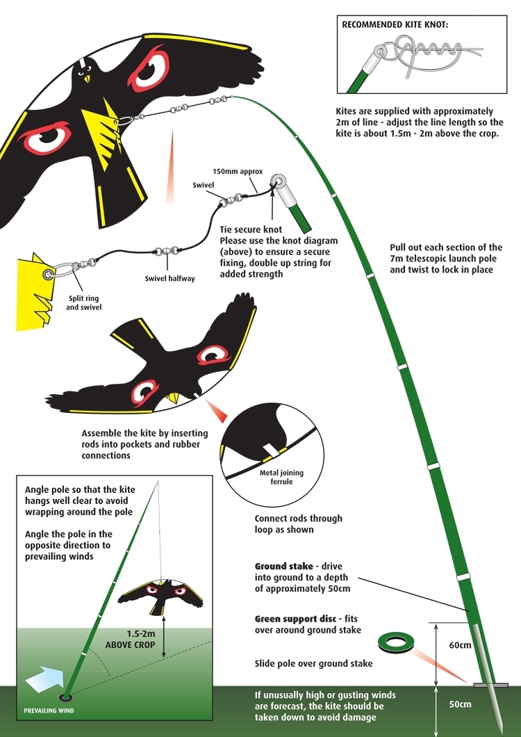 0000365_portek-terror-hawk-terror-kite-complete-kit