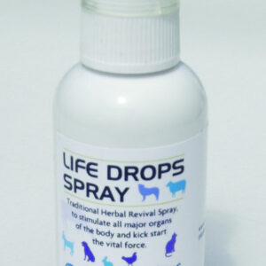 Life Drops Spray 30ml