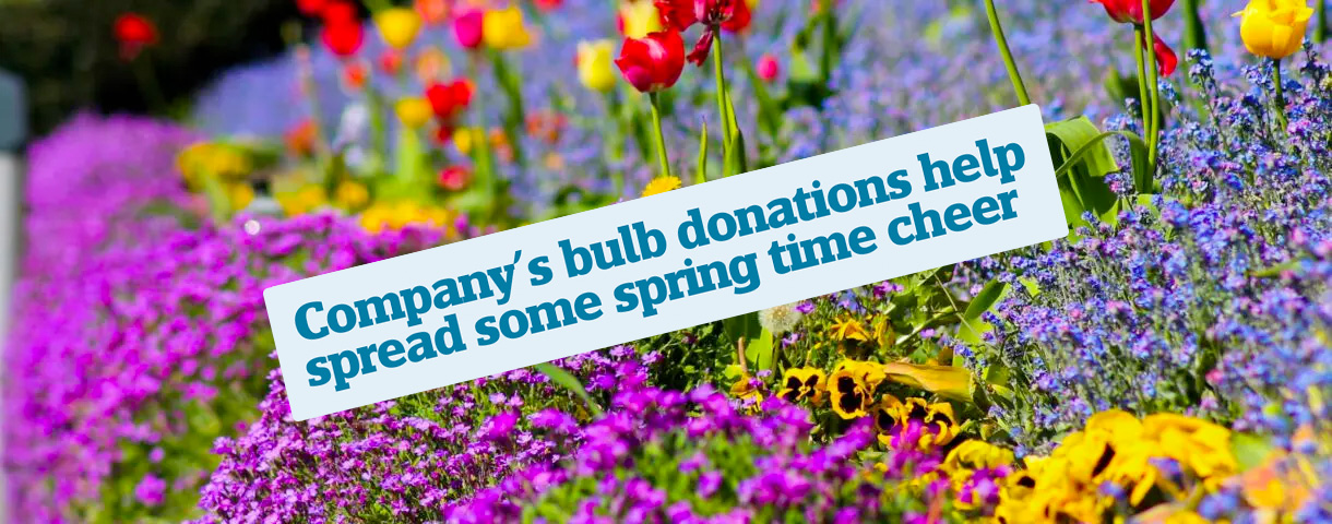 Gardening supplies at Davidsons Farm & Country