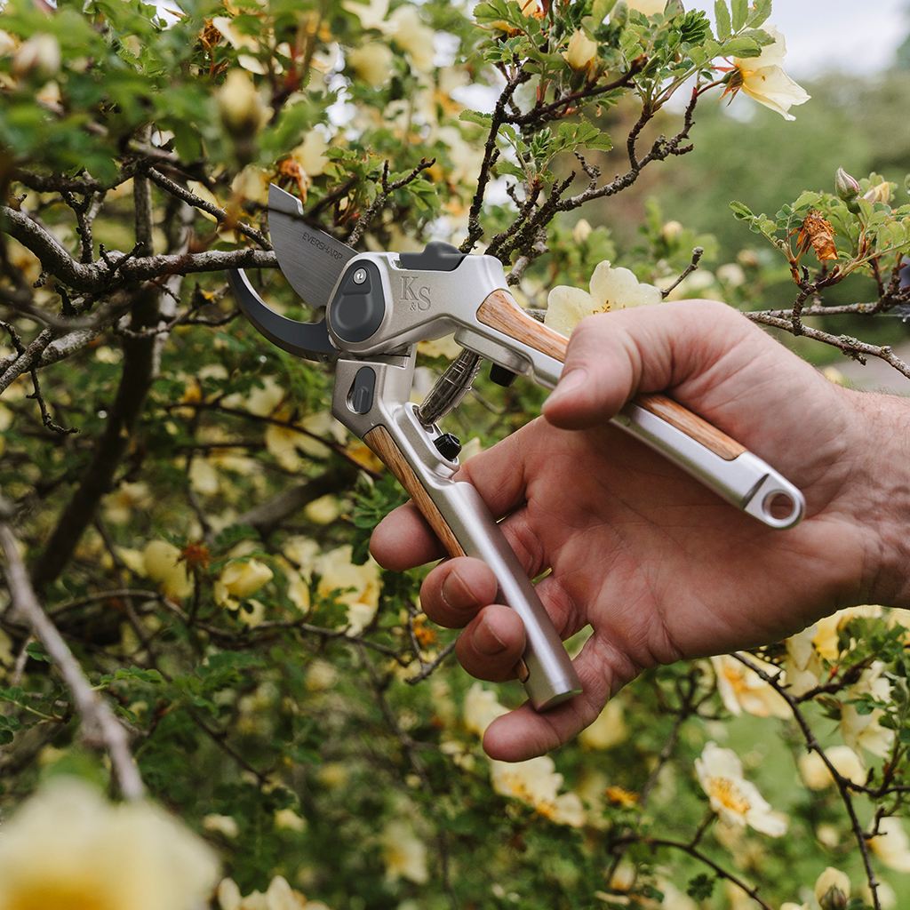 0008_Kent-Stowe-Eversharp-Bypass-Secateurs-70100536-Lifestyle_5-RT