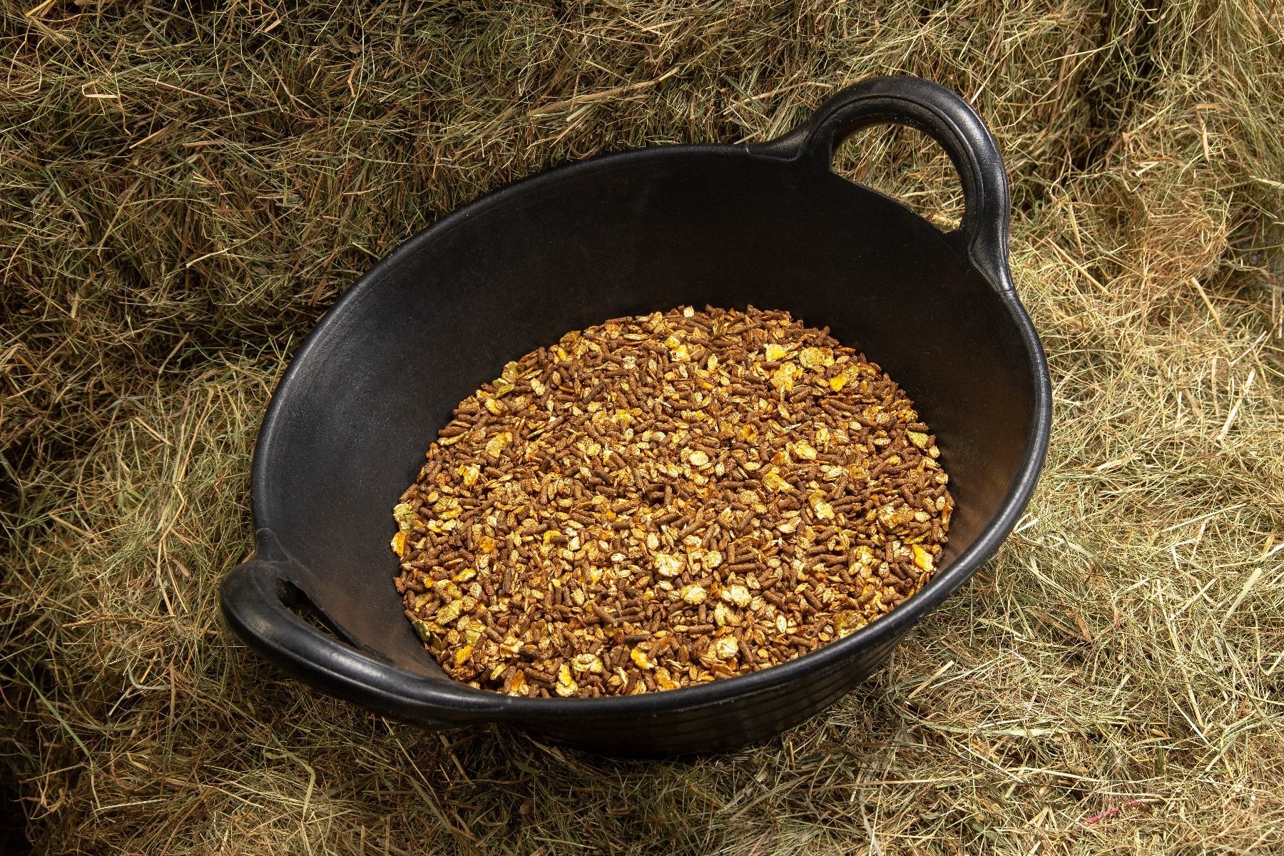 spillers_senior_conditioning_mix_lifestyle