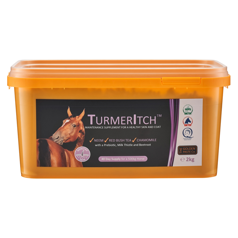 PR-31211-The-Golden-Paste-Co-Turmeritch-01