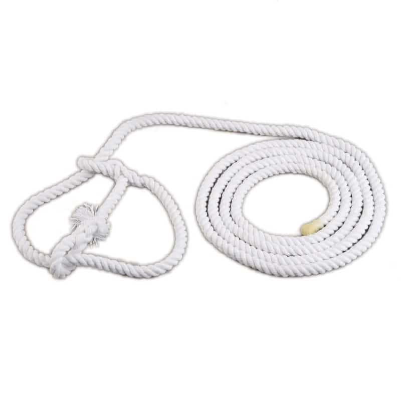 f424vy4s.haq_.SHOW20HALTER20SHEEP