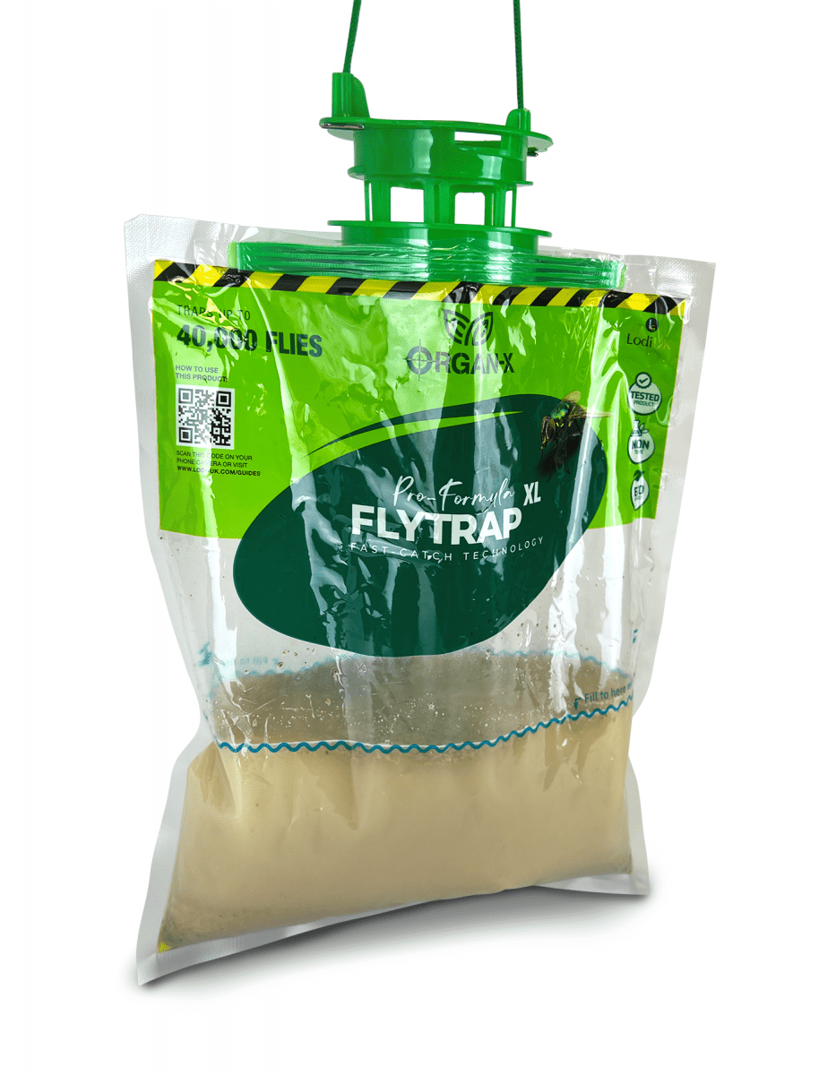 FlyTrap XL filled bag