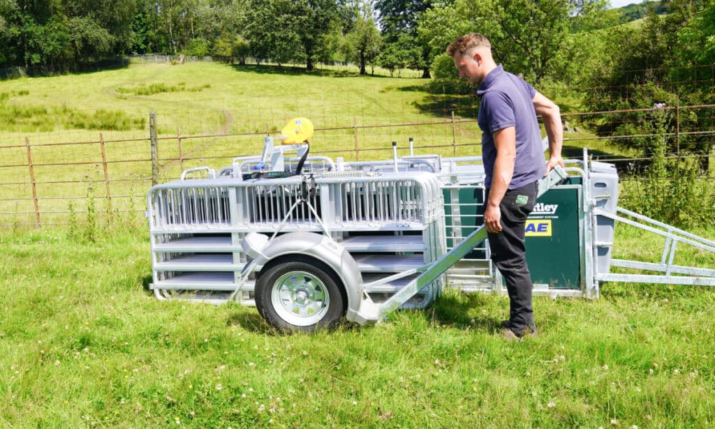 10ft-yard-2-1024x615