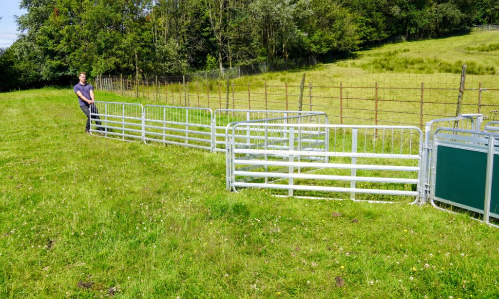 10ft-yard-4-1024x615