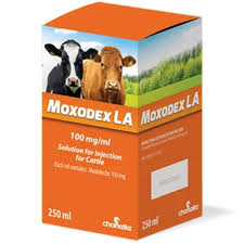 Chanelle Moxodex LA 100MG/ML 250ML