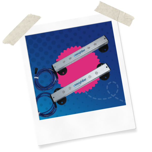 Website Assets (38)