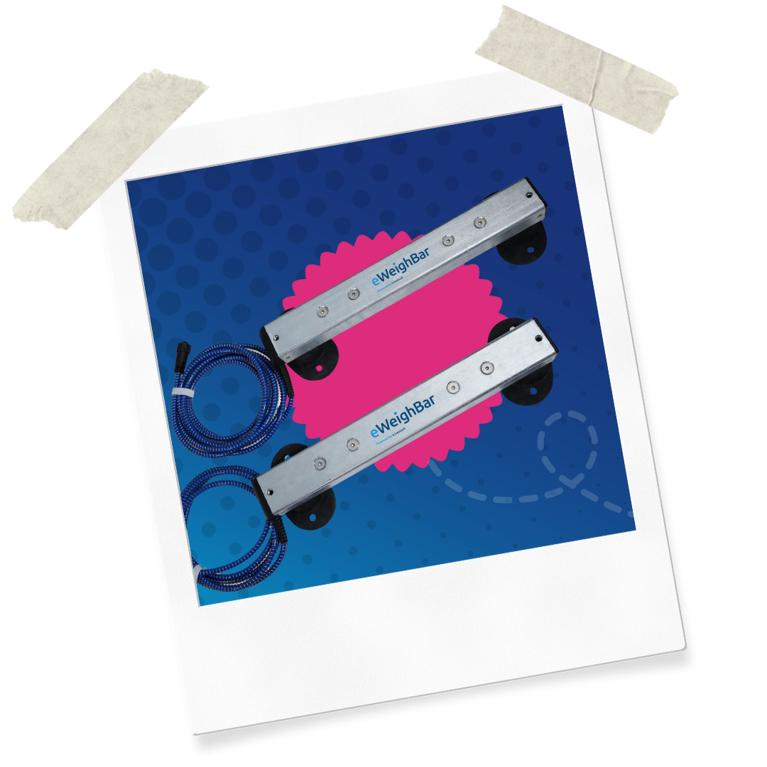 Website Assets (38)