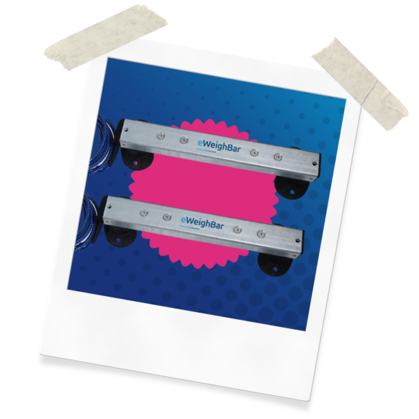 Website Assets (39)