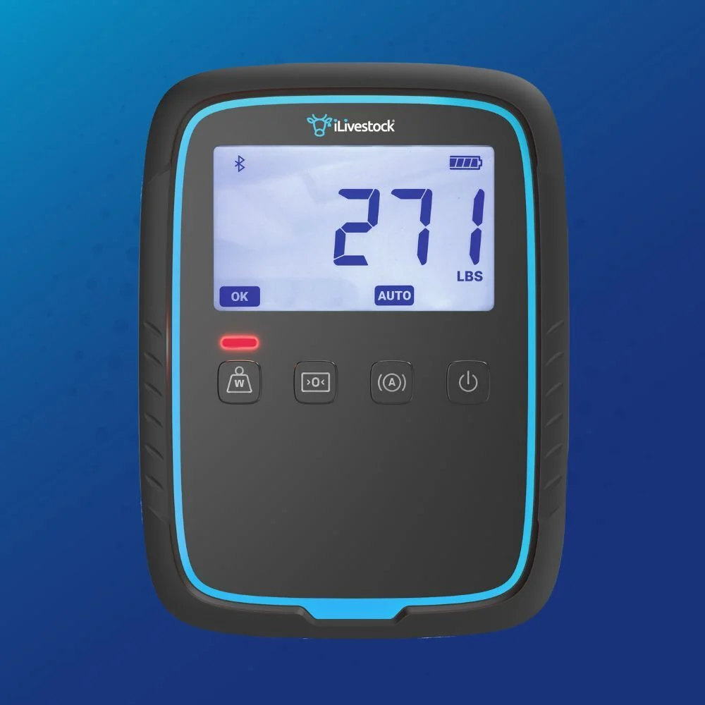 eWeighDS - Product Image (1)